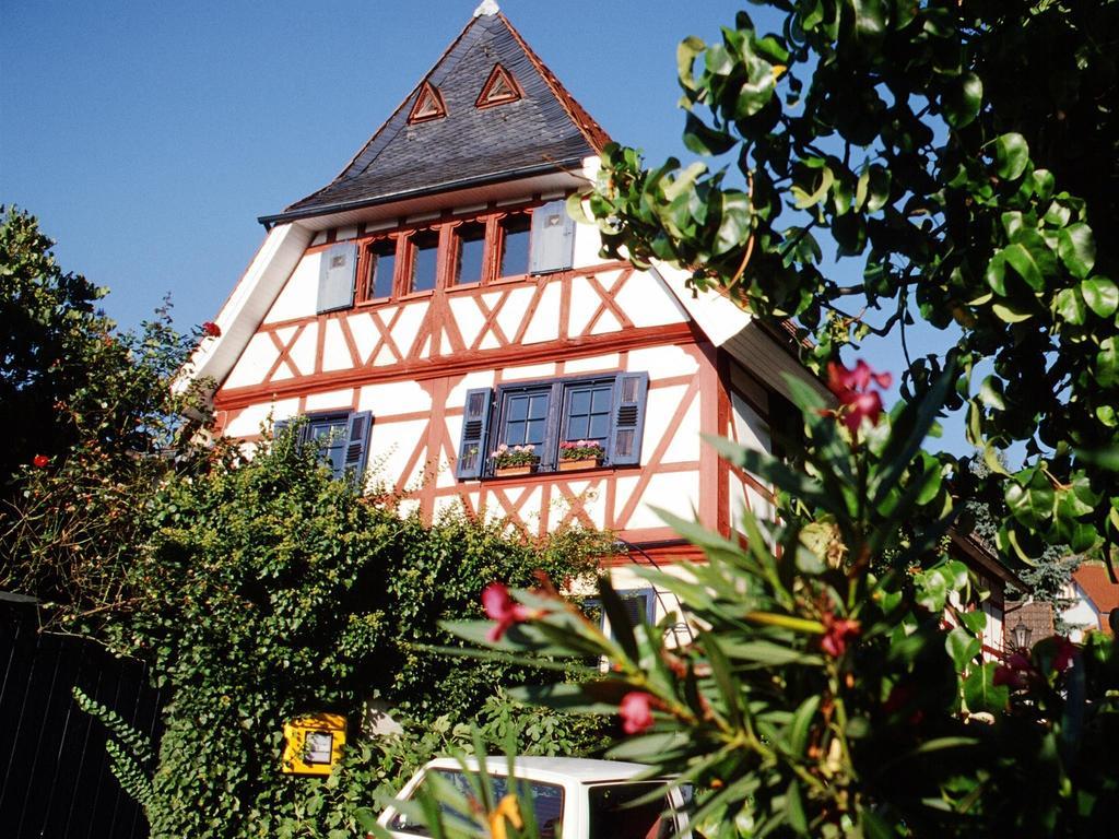 Hotel Garni Zur Bergstrasse Zwingenberg  Extérieur photo